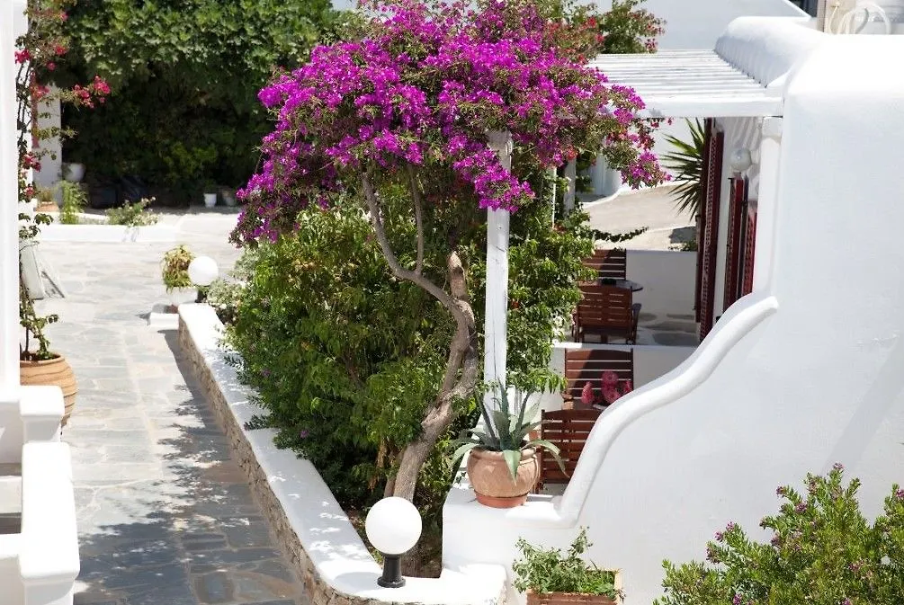 Domna Hotel Mykonos Town